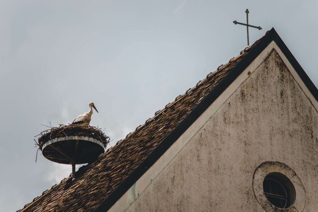 Webdesigner für Kirchen